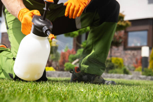 Best Pest Control for Restaurants  in St Stephen, SC