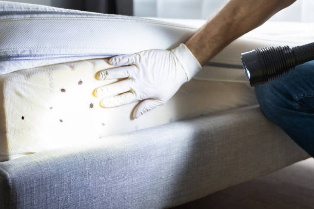 Best Commercial Pest Control Services  in St Stephen, SC
