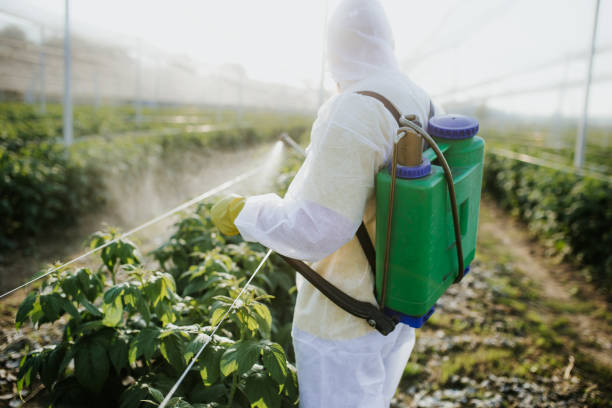 Best Mosquito Control Services  in St Stephen, SC